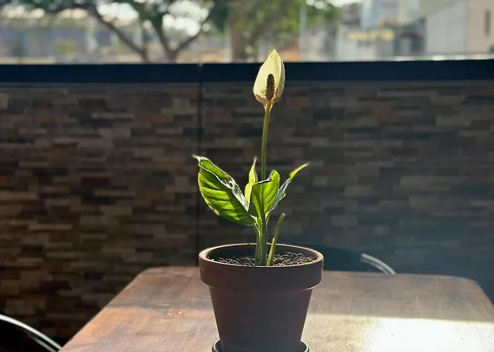 Ferienhaus Relaxing Torres *