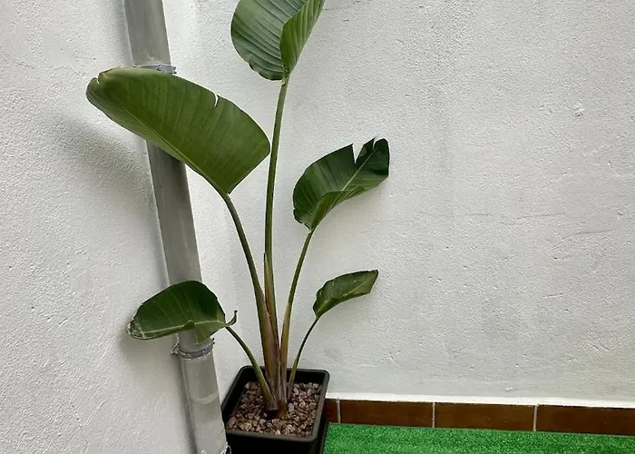 Ferienhaus Relaxing Torres