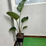 Дом отдыха Relaxing Torres