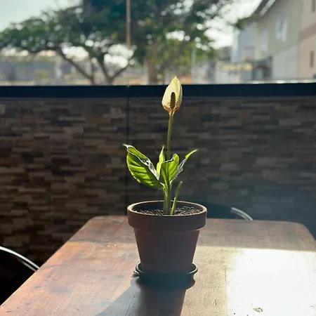 Nyaraló Relaxing Torres *