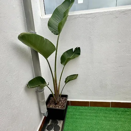 Dom wakacyjny Relaxing Torres